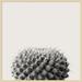 AllModern Haze Cactus Succulent by The Creative Bunch Studio - Picture Frame Photograph Print Paper, in Black/White | 25 H x 25 W x 1 D in | Wayfair