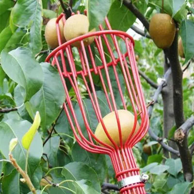 Mir profond de cueillette de fruits outils de jardin dispositif de cueillette de pommes de