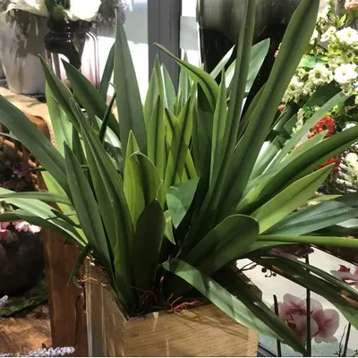 Drapeau en silicone de haute qualité matériel d'art floral gladiolus cymbidium hyridus