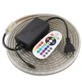 Bande lumineuse RGB LED étanche avec télécommande ruban flexible ruban ulin décoration SMD