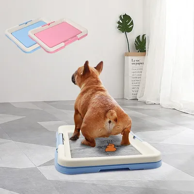 Portable chien formation toilett...