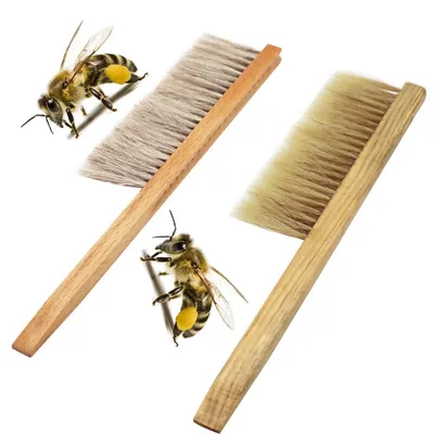 Outils d'apiculture brosse à miel en bois guêpe balayage d'abeille deux rangées de poils de