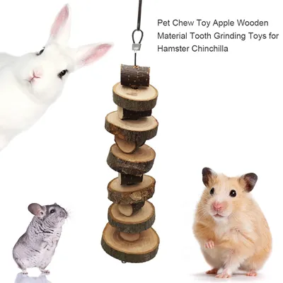 Jouet à mâcher en bois pour animaux de compagnie jouet de meulage des dents pour hamster