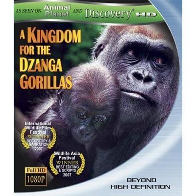 A Kingdom for the Dzanga Gorillas Blu-ray Disc