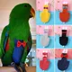 Oiseau perroquet couche vol costume Nappy vêtements pour joue verte Conure perruche calopsittes