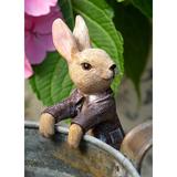 Jardinopia Beatrix Potter Benjamin Bunny Pot Buddy Pot Hanger In Gift Box Resin/Plastic/Stone in Brown/Gray | 2.36 H x 1.58 W x 4.33 D in | Wayfair