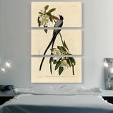 ARTCANVAS Fork-Tailed Flycatcher by James Audubon - 3 Piece Wrapped Canvas Painting Print Set Canvas in Blue/Green/Red | Wayfair AUDOBO27-3L-90x60