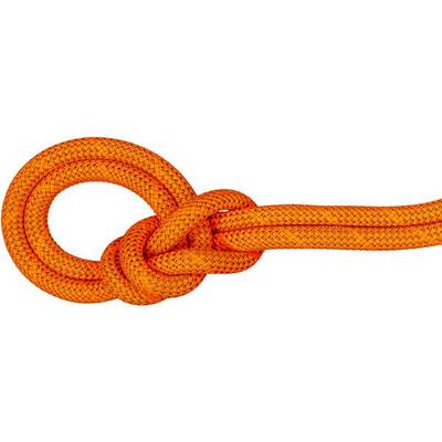 MAMMUT 9.8 Crag Dry Rope, Größe 60 in Dry Standard, safety orange-boa