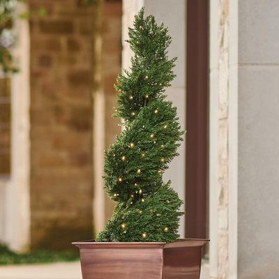 Pre-Lit Pond Cypress Spiral Topiary - Grandin Road