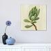 East Urban Home Front Yard Succulent III by Silvia Vassileva - Painting Print Canvas, Wood in Green/White | 18 H x 18 W x 1.5 D in | Wayfair