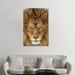 East Urban Home Serious Lion by Mike Centioli - Photograph Print Canvas/Metal in Brown | 48 H x 32 W x 1.5 D in | Wayfair