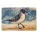 Dovecove Laughing Gull 26 in. x 18 in. Non-Slip Outdoor Door Mat Synthetics in Black/Blue/Brown | Wayfair 658C22DAE20B4A7CA60B89DC7998C8AA