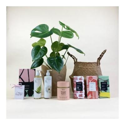 Catkin & Pussywillow - Happy Space Valentines Gift Hamper M - No Voucher / 4 Candles