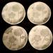 Anthropologie Dining | 4 Floral Stoneware Side Plates From Anthropologie | Color: Cream/Green | Size: Os