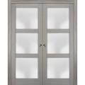 Closet Door - SARTODOORS Lucia Frosted Glass Sliding Closet Doors Wood in Brown | 96 H x 60 W x 1.6 D in | Wayfair LUCIA2552DP-SSS-6096