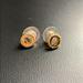 Kate Spade Jewelry | Kate Spade Studs | Color: Gold | Size: Os