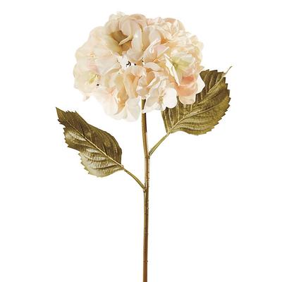 Hydrangea Stem - Cream - Ballard Designs