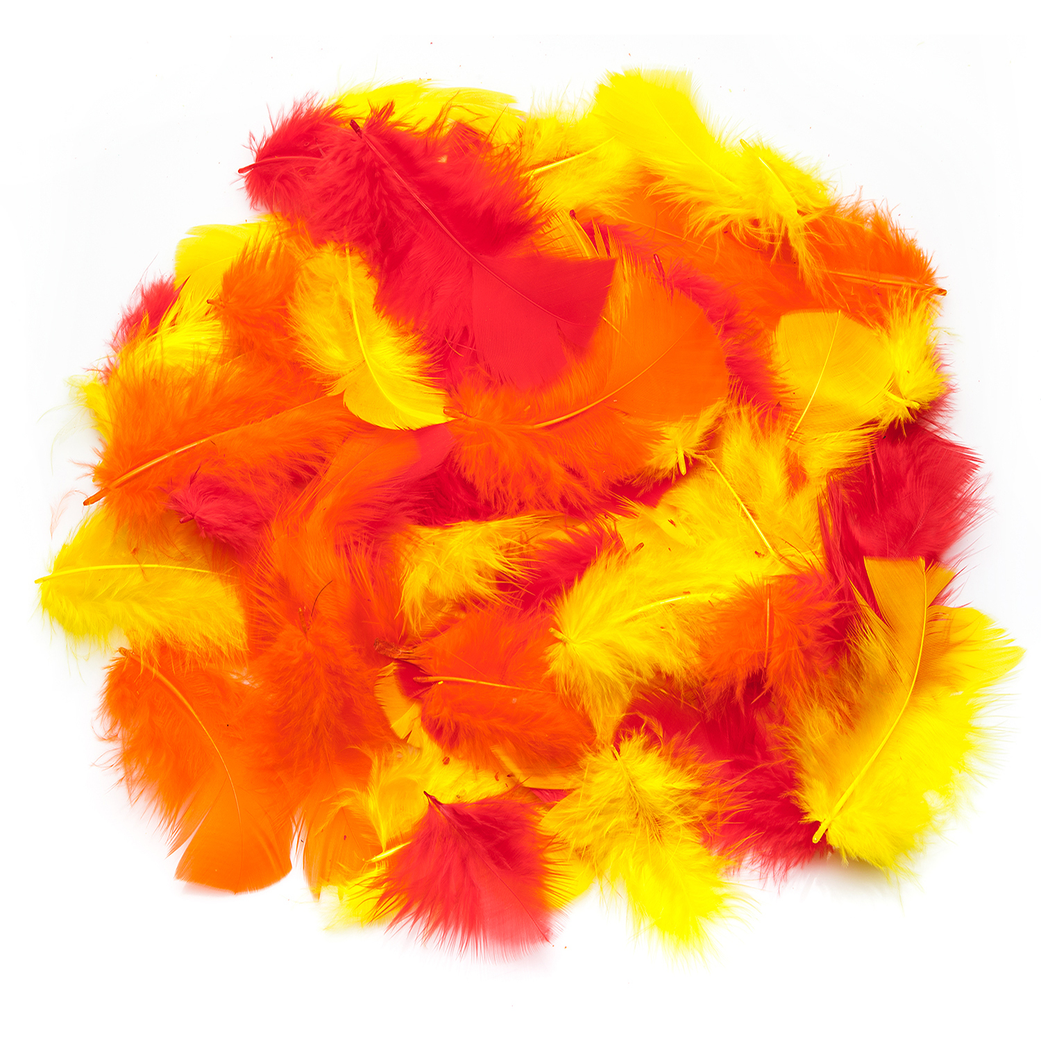 Plumes véritables, rouge/jaune/orange, 20 g = env. 160 - 170 plumes