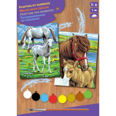 Malen nach Zahlen mit Acrylfarbe Pferde, 2 Motive