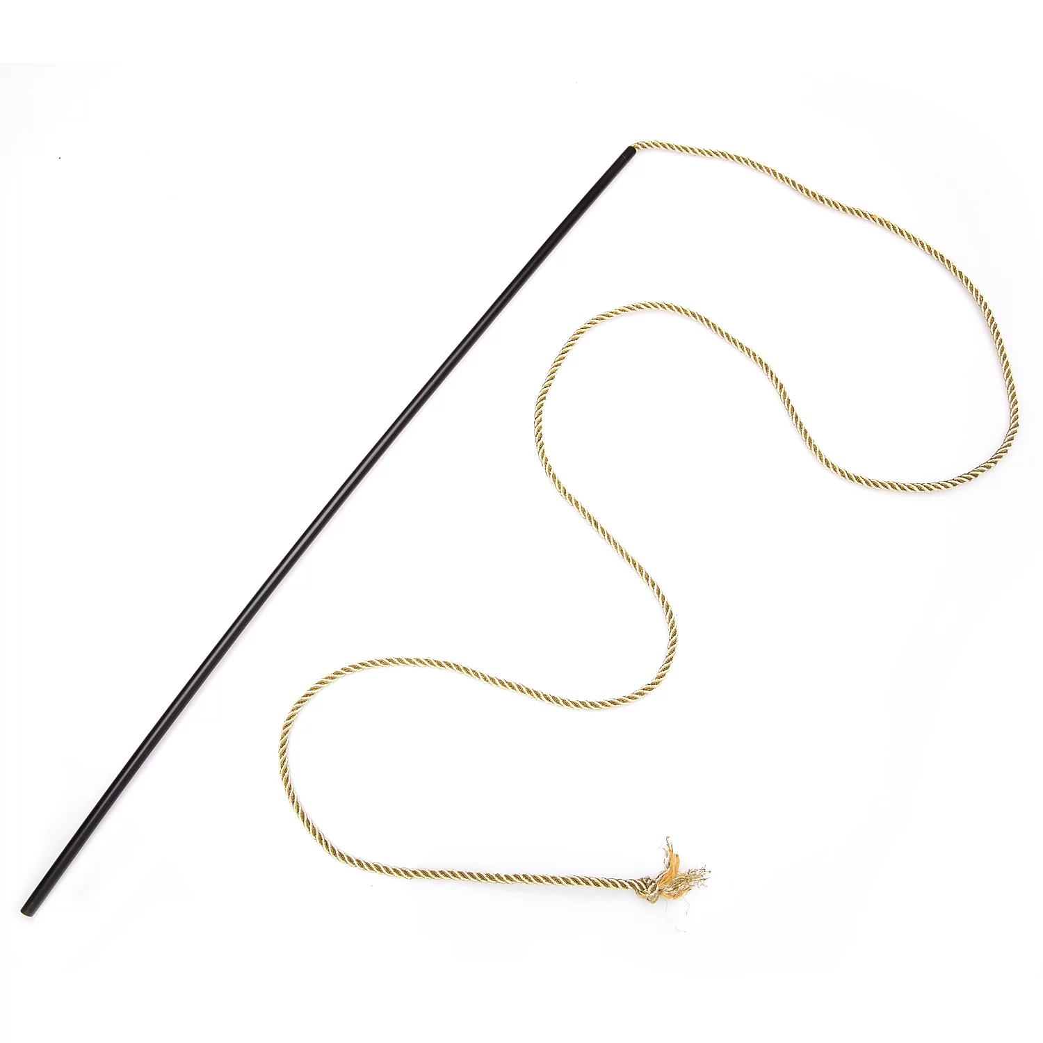 Peitsche Dompteur Image