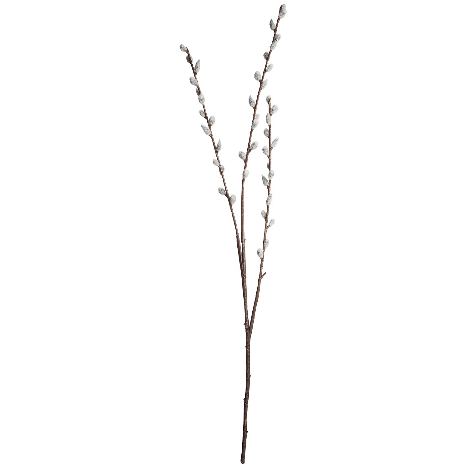 Palmkätzchenzweig, 80 cm Image