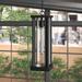 Steelside™ Ayala 1-Light Outdoor Pendant Glass/Aluminium/Metal in Black/Gray | 22.25 H x 7.5 W x 7.5 D in | Wayfair