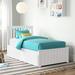 Viv + Rae™ Brunelle Solid Wood Platform Bed by Andover Mills™ Baby & Wood in White | 41.75 H x 78 D in | Wayfair 6AD252335989484182BB11967F497295