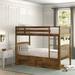 Greyleigh™ Baby & Kids Thomson Twin over Twin Bed Wood in Brown | 65 H x 42 W x 79.8 D in | Wayfair 155AA347C3E54EAE904A266F1583AEA6