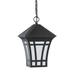 Charlton Home® Heckstein 1 -Bulb 11.25" H Outdoor Hanging Lantern Glass/Metal in Black | 11.25 H x 7.25 W x 7.25 D in | Wayfair BLMT4868 41822990