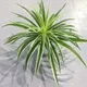 Chlorophytum artificiel en plastique décoratif plantes factices empotées ou dépotées branche faux