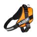 UV Orange Dog Harness, 3X-Large