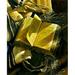 Bloomsbury Market Still Life w/ the Torah - Painting Print on Canvas in Black/Yellow | 20 H x 16 W x 2 D in | Wayfair