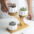 Pots de jardin en céramique avec étagère en bambou à 3 niveaux pots de fleurs de Aliments pots de