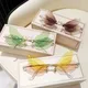 Lunettes de soleil vintage en forme d'ailes de libellule pour homme et femme verres transparents à