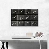 ARTCANVAS A Parrot Flying 1887 by Eadweard Muybridge - Wrapped Canvas Photograph Print Canvas, in Black/Gray/White | 18 H x 26 W x 1.5 D in | Wayfair