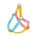 The Extrovert Water-Resistant Colorblocked Dog Harness, Medium, Multi-Color