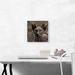 ARTCANVAS Sphynx Cat Breed - Wrapped Canvas Graphic Art Print Canvas, Wood in Brown/Gray | 12 H x 12 W x 0.75 D in | Wayfair ACICAT161-1S-12x12