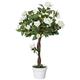 Outsunny 90cm/3FT Artificial Rose Tree, Fake Decorative Plant with Pot, Indoor Outdoor Faux Decoration Home Office Décor, White