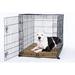 Tucker Murphy Pet™ Shedd Crate Coyote Pad Polyester/Nylon/Memory Foam in Brown | 2.5 H x 30 W x 19 D in | Wayfair E22EAA42CB7E447AB30273C8B554242E