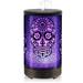 Daroma Skull Metal Essential Oil Diffuser | 10 H x 4 W x 4 D in | Wayfair DRM14302