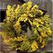 Winston Porter Spearmint Soft Touch 24" Wreath in Orange/Yellow | 24 H x 24 W x 6 D in | Wayfair 3203825D60634FF6B8E3D1C095AD3196