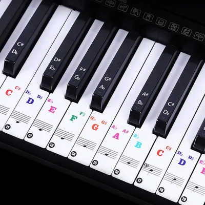 Autocollants transparents pour clavier de piano notes de lettres colorées rouleau à main