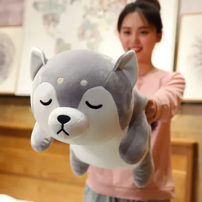 Nouveau jouet en peluche Kawaii de 35-75CM mignon chien Corgi et Shiba Inu oreiller Husky couché