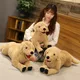 Animal en peluche réaliste pour enfants chien du Labrador simulé poupées de chiot créatives