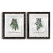 The Holiday Aisle® Sprig of Christmas Time - 2 Piece Picture Frame Graphic Art Print Set Paper, Solid Wood in White | 24 H x 36 W x 1.5 D in | Wayfair