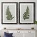 Bay Isle Home™ Fern Studies I - 2 Piece Painting Print Set Canvas in Green | 37.5 H x 55 W x 1.5 D in | Wayfair 226E6AFB3AF841498FA6F1537D302FF7