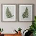 Bay Isle Home™ Fern Studies I - 2 Piece Painting Print Set Canvas in White | 24 H x 36 W x 1.5 D in | Wayfair 3E524C1AF85C4C6A93D2ED4F70F82DC4