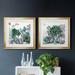 Dakota Fields Succulent Garden I - 2 Piece Picture Frame Painting Print Set on Canvas Canvas, Solid Wood in Black | 17.5 H x 35 W x 1.5 D in | Wayfair