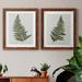 Bay Isle Home™ Fern Studies I - 2 Piece Painting Print Set Canvas in Green | 17 H x 20 W in | Wayfair AF8991D76A634B86B4A5565E9FE8DBAE