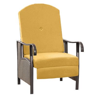 Oversized Outdoor Recliner by BrylaneHome in Lemon...